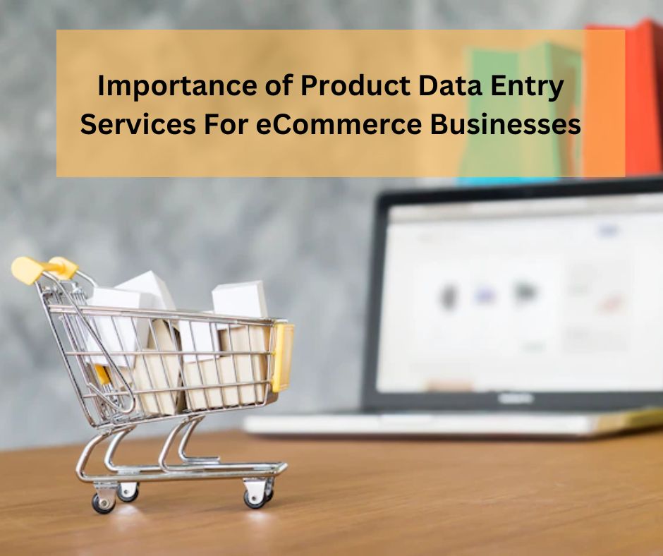 ecommerce product data entry