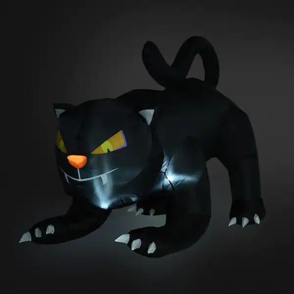 outsunny black cat