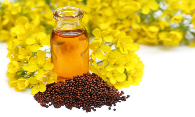 HOW TO MAKE MUSTARD OIL MASSAGE OIL