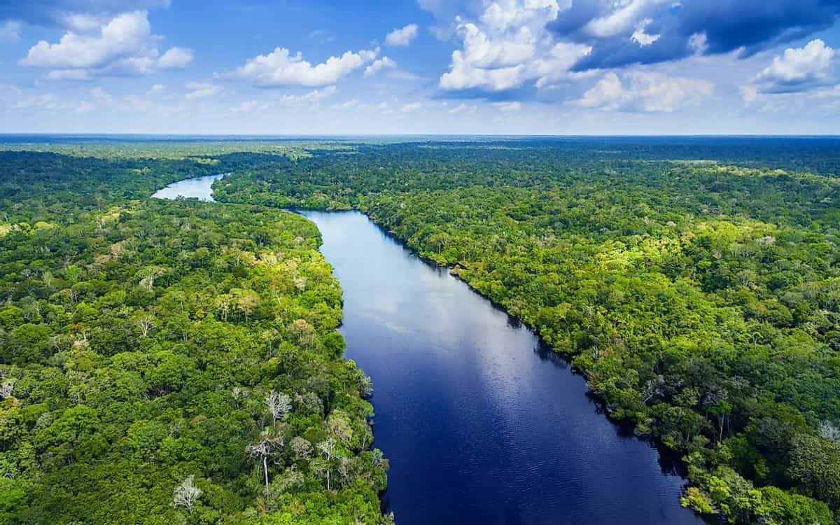 significance-of-amazon-rainforest