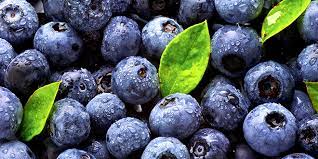 BLUEBERRIES