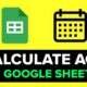 calculate age in google sheets