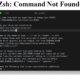 zsh: command not found: pip